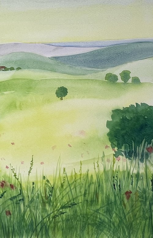 A View of Marche, Italy by Dariia Martsin