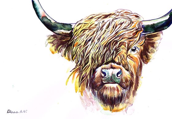 Highland Moo Cow