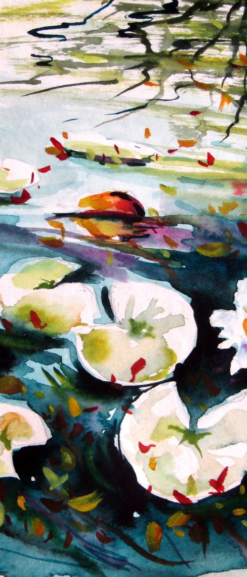 Little water lilies by Kovács Anna Brigitta