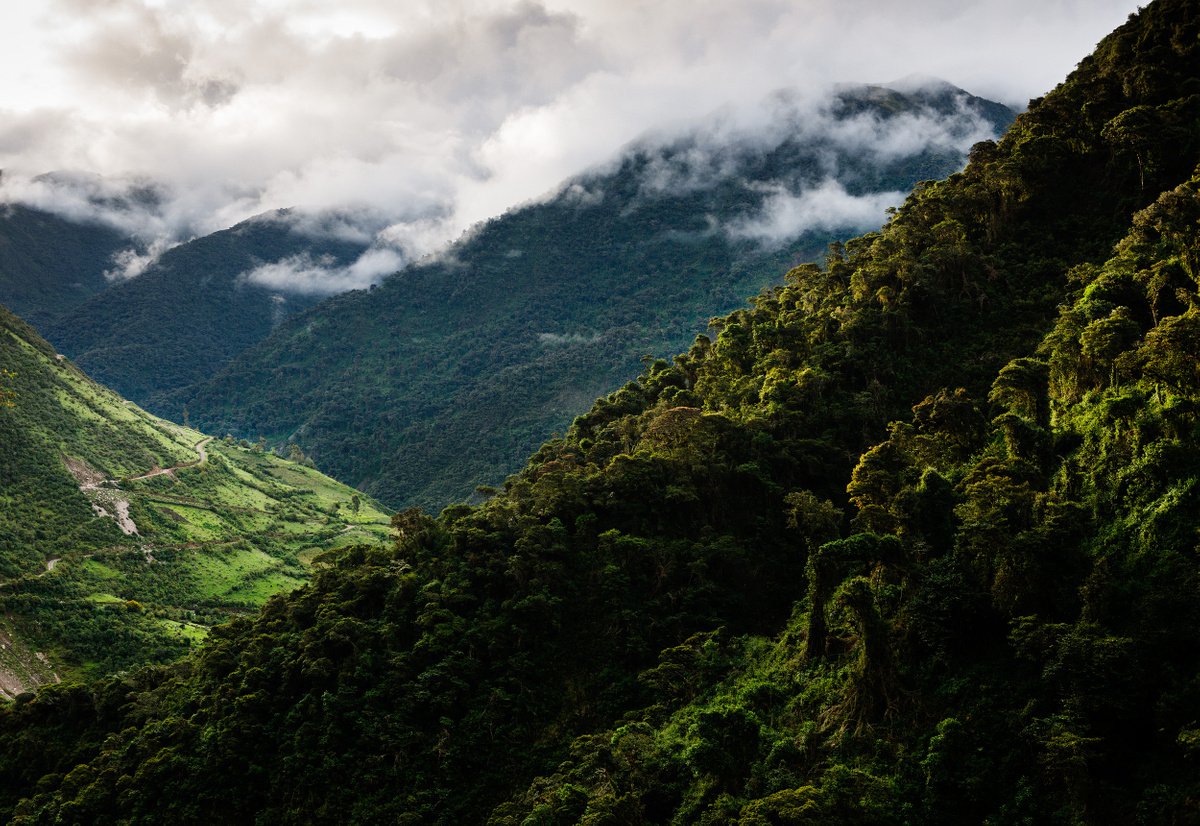 Impressionistic Landscape Photograph By Tom Hanslien, 47 X 33", The Cloud Jungle At Colcapampa, Original Artwork
