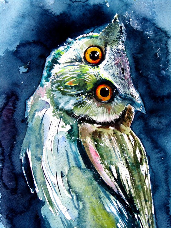 Owl watching at night