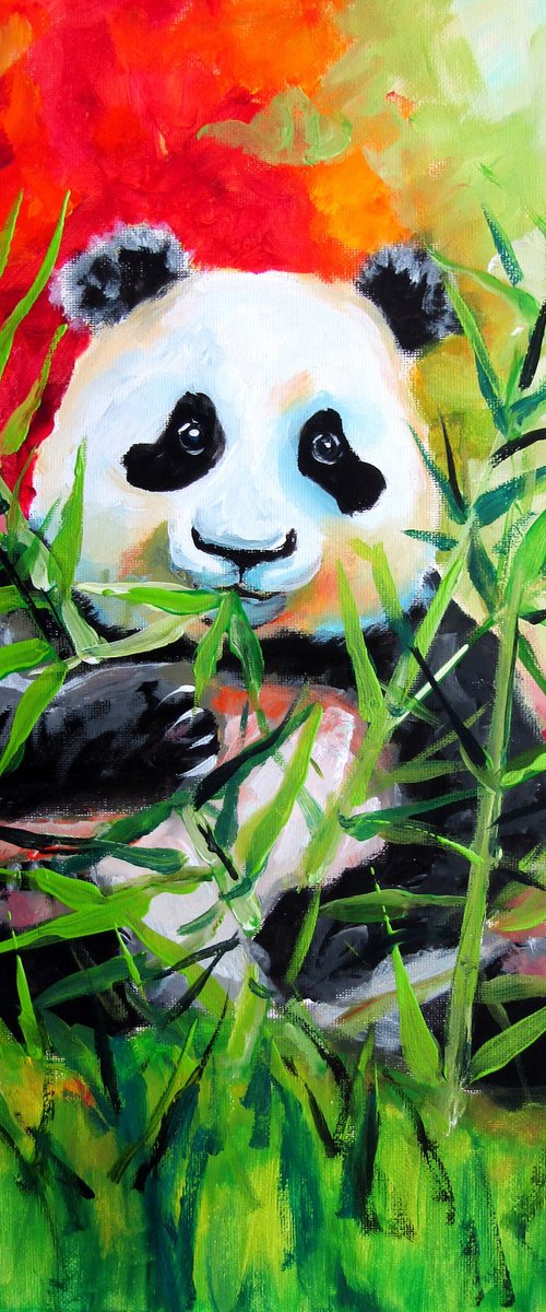 Panda II by Kovács Anna Brigitta