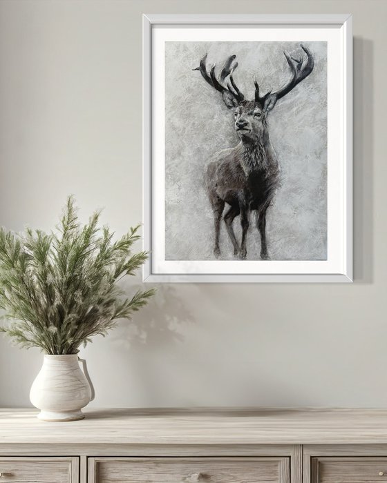 Stag at Winter