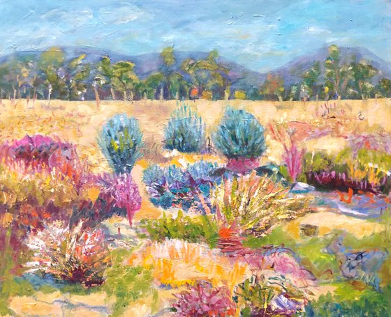 SALTBUSH ON KANGAROO ISLAND