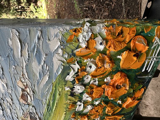 Poppies at Pebble Beach