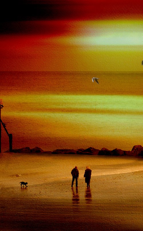 Sunset Walk by Martin  Fry