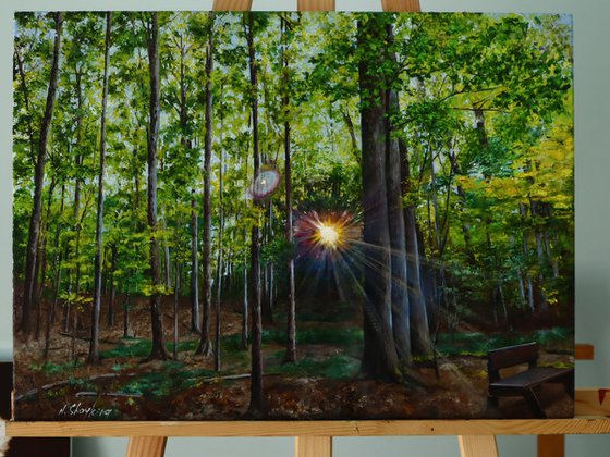 Sunlit Grove in Morning Light