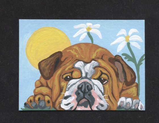 ACEO ATC Original Miniature Painting English Bulldog Pet Dog Art-Carla Smale