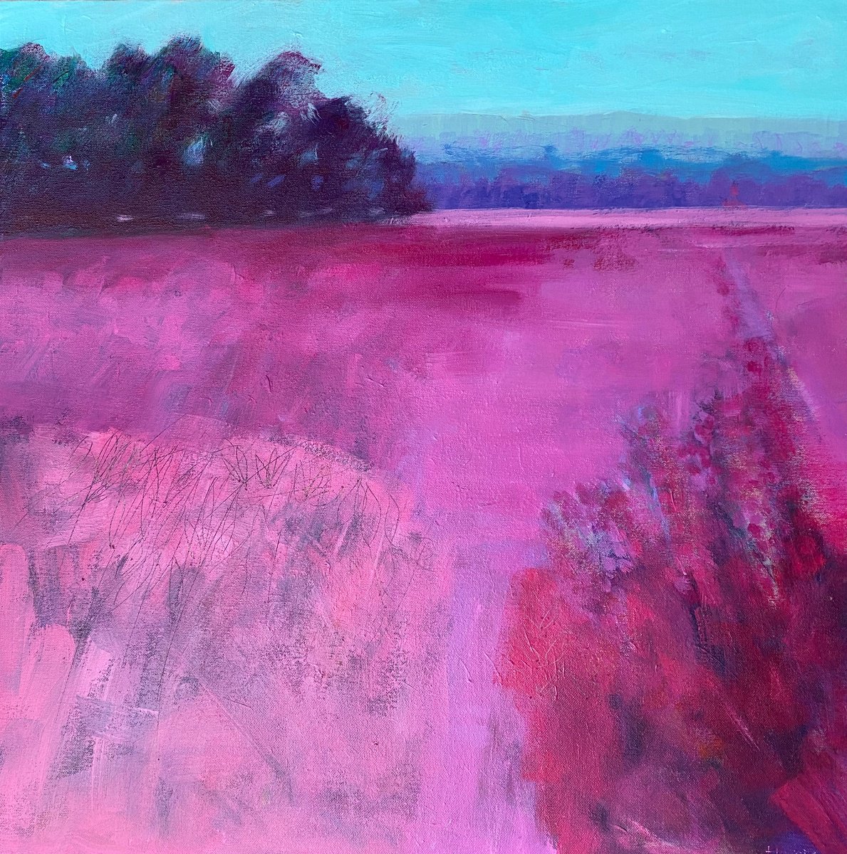 Dark Woods with Pink Field by Chrissie Havers