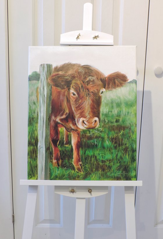 Brown Cow oil on canvas