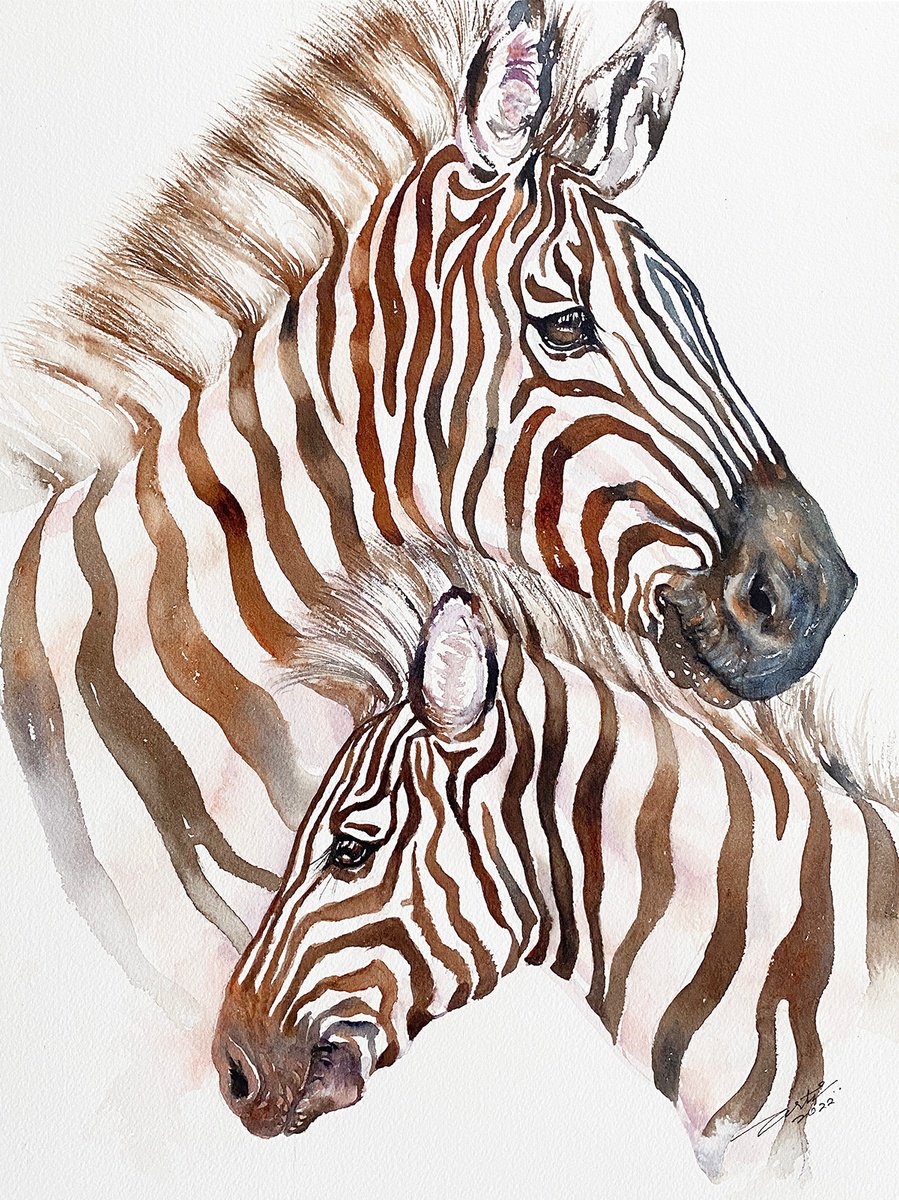 Photorealistic Animal Watercolour By Arti Chauhan, 12 X 16, Sweet As Flowers_ Zebra, Original Artwork
