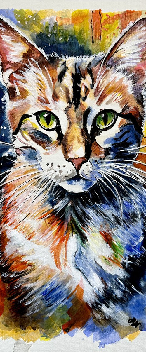 Abstract Cat by Misty Lady - M. Nierobisz