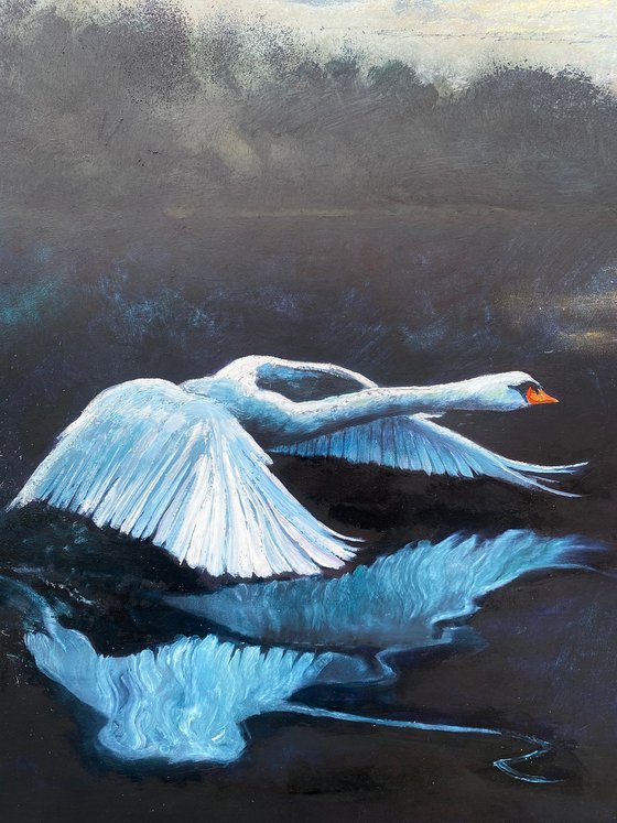 The Swan and the Flower Moon