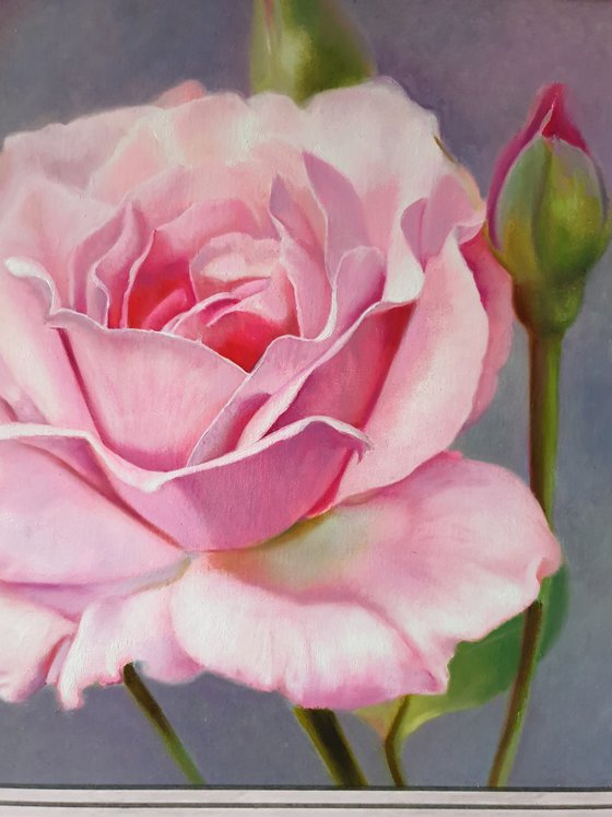 "Sounds of tenderness."  rose flower  liGHt original painting  GIFT (2021)