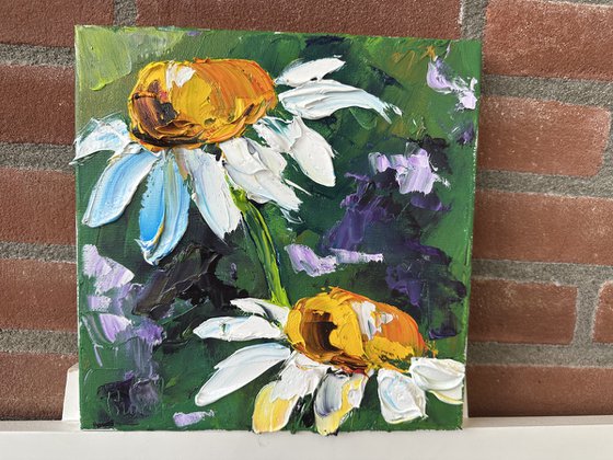 Two daisies