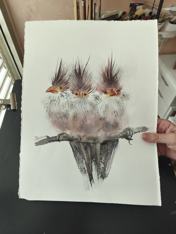 Trio Of Crested Birds - Diptych