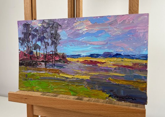 Spring Colorful Day in the Mountains