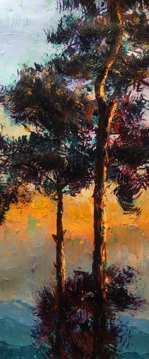 Pines by John Cottee