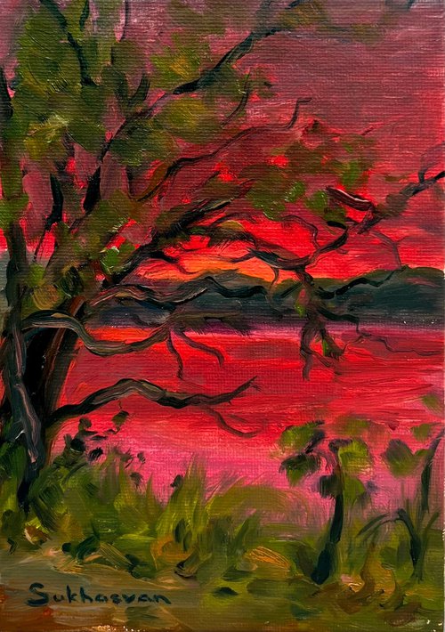 Strawberry Sunset by Victoria Sukhasyan