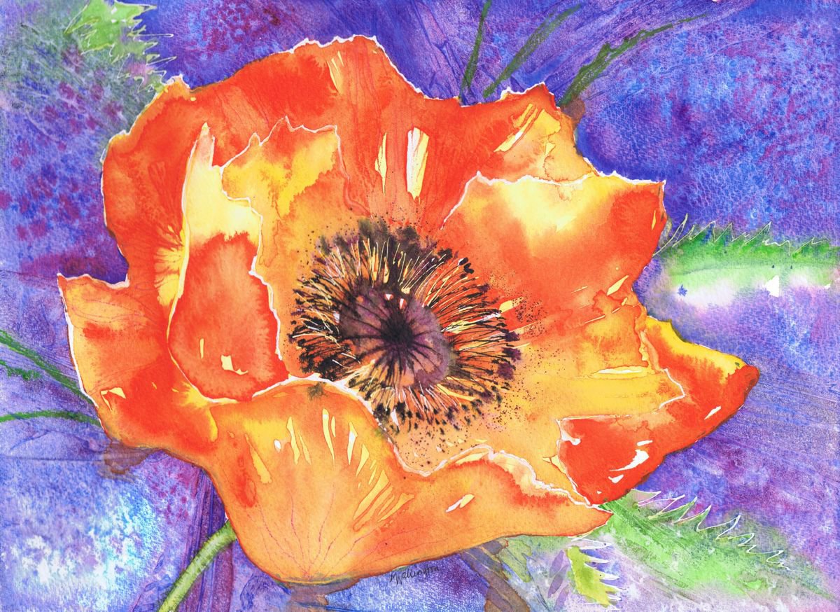 Red Poppy on Violet by Michele Wallington