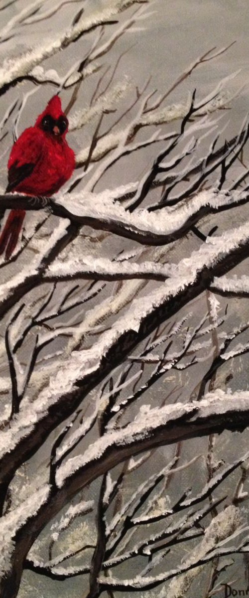 Kentucky Cardinal in Snow by Donna Daniels