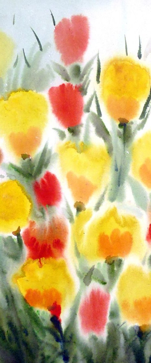 Beauty of Poppies Flowers by Samiran Sarkar