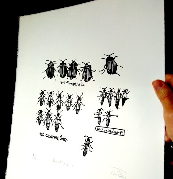 Beetles i - lino cut print