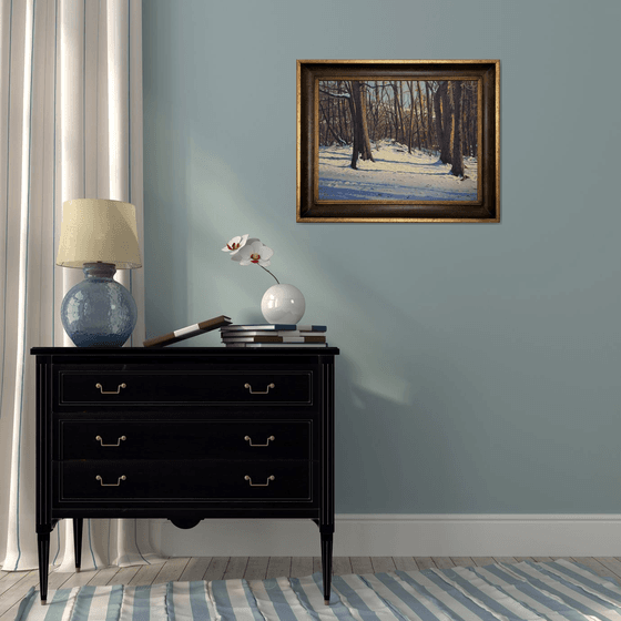 Winter Stillness: Snow and Shadow