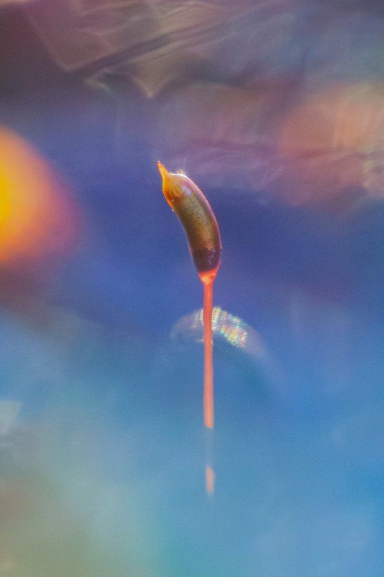 The Receiver - studio edition