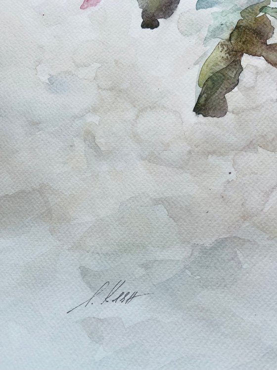 Peonies 50x65 cm 2025