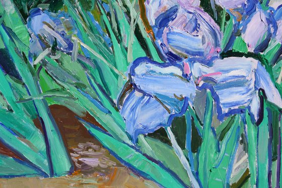 " Irises "