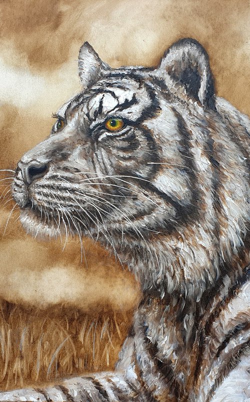 Tiger Tiger by Joseph  Charman