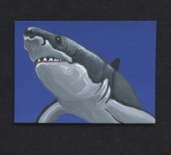 ACEO ATC Original Miniature Painting Great White Shark Fish Wildlife Art-Carla Smale