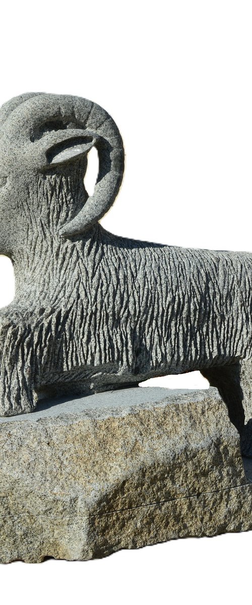 "Capricorn" by Ognyan Chitakov