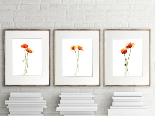 Set of 3 Poppies Original Paintings by Olga Shefranov (Tchefranov)