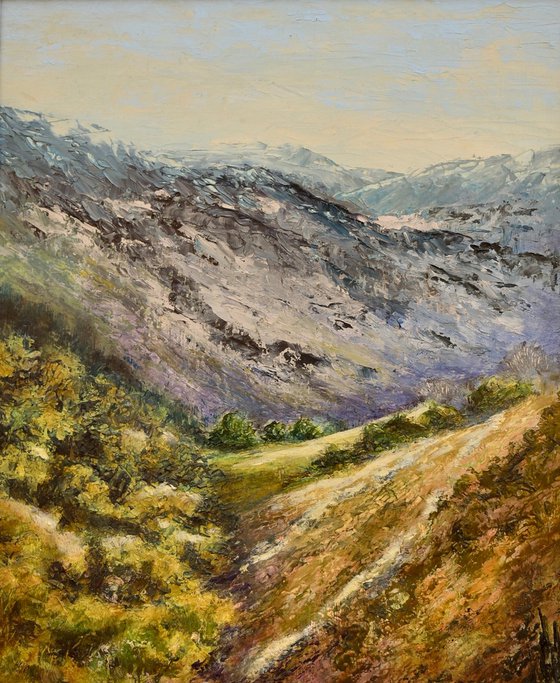 Berwyn Mountains