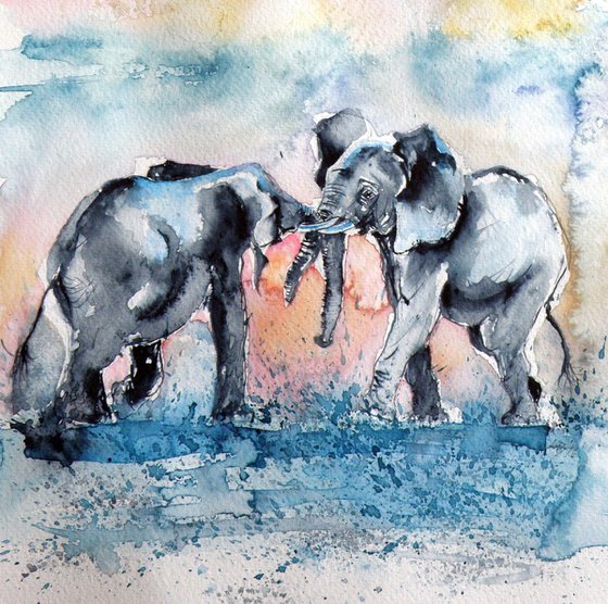 Elephant meeting