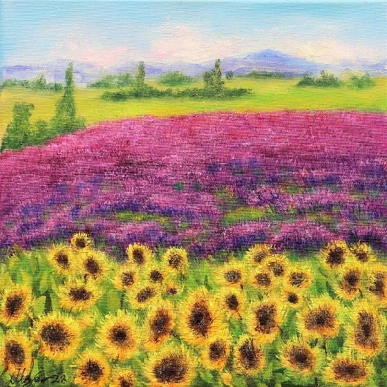 Sunflowers and lavender fields