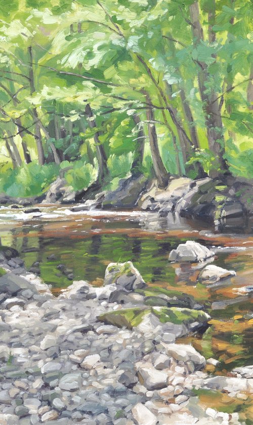River in the shade of the woods by ANNE BAUDEQUIN