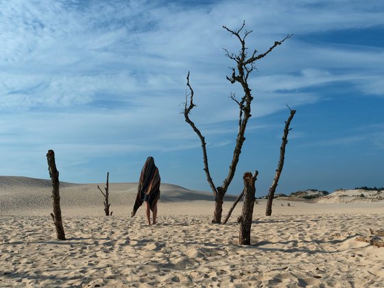 Polish Desert - Slowinski National Park