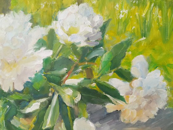 Peonies on the bench