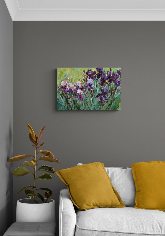 Blooming Irises