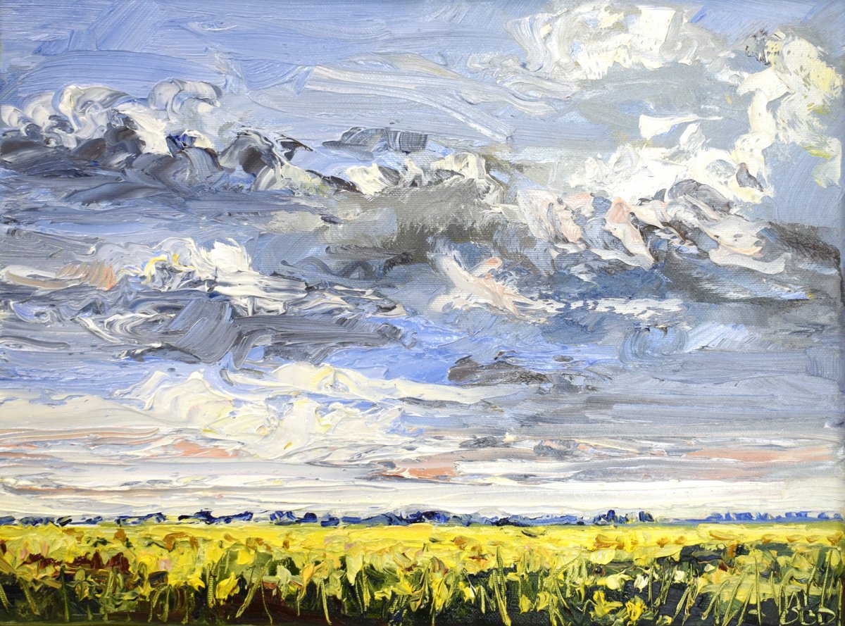 Impressionistic Landscape Oil Painting By Sonja Brussen, 17 X 13", Flowering Fields, Original Artwork