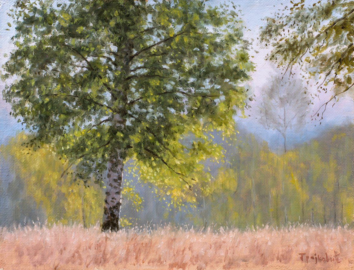 Impressionistic Landscape Oil Painting By Dejan Trajkovic, 19 X 15, The Lonely Birch, Original Artwork