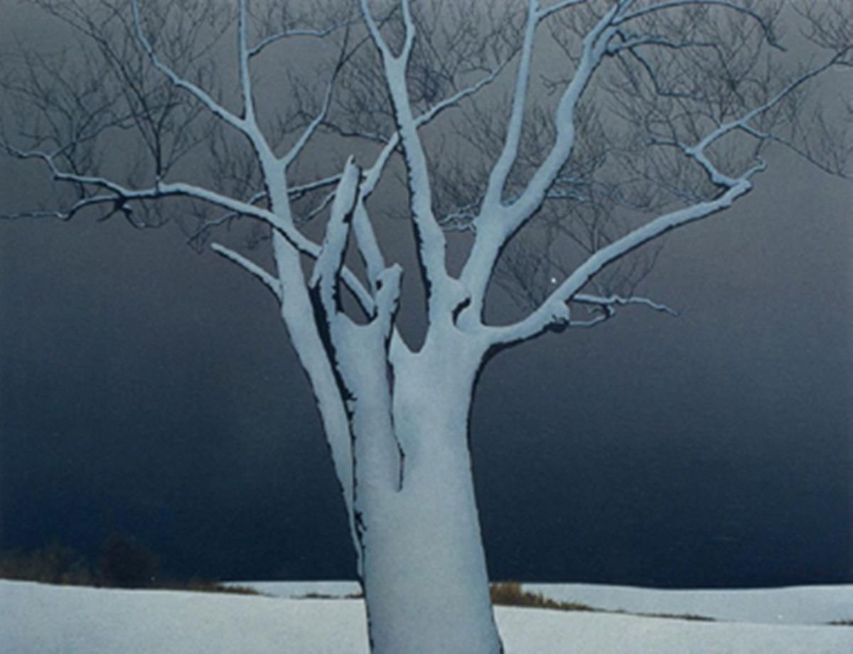 Landscape Oil Painting By Zhi Li, 64 X 51", Walnut Tree, Original Artwork