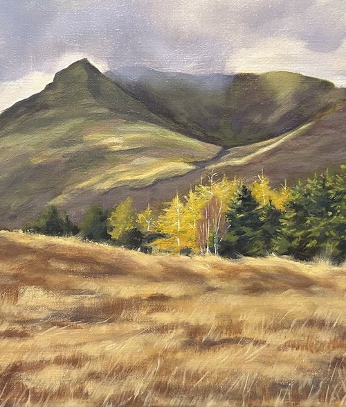 Mountain View , Co. Mayo landscape by Alina Karpova