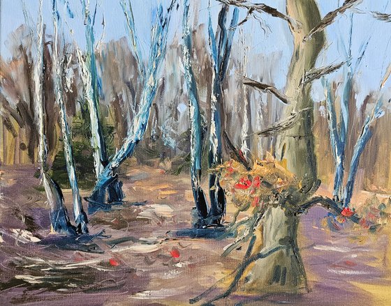 Frosty forest