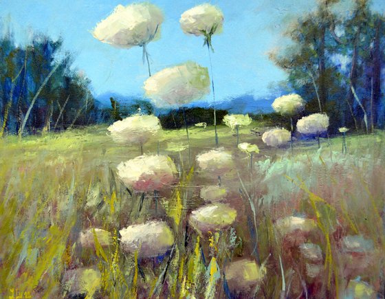 Beautiful wild flowers in the meadow