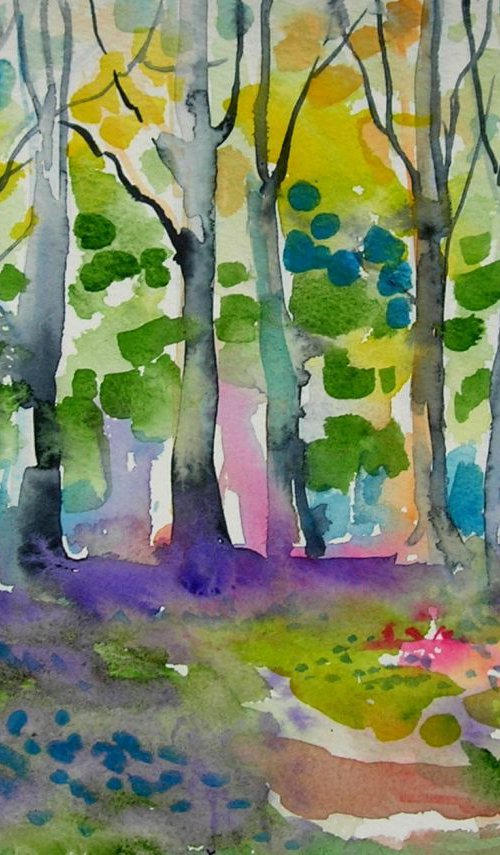 Enchanted woods by Maja Grecic