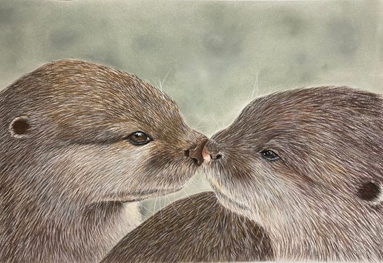 Otters